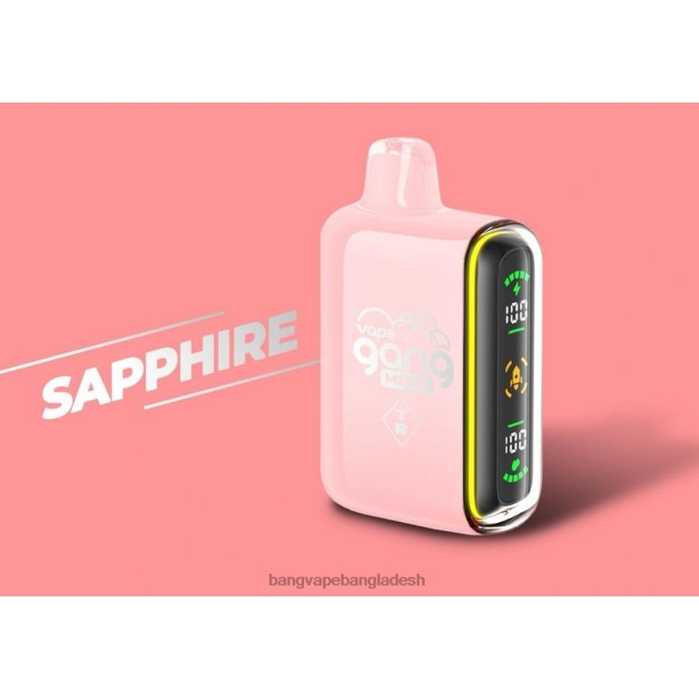 Vape Gang shop - Vape Gang MEGA 20,000 পাফ ডিসপোজেবল ভ্যাপ (5টির বাক্স) নীলকান্তমণি PT62P59